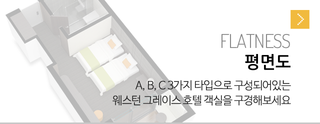 평면도